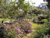 Sardegna. Villa indipendente con 600 mq di giardino