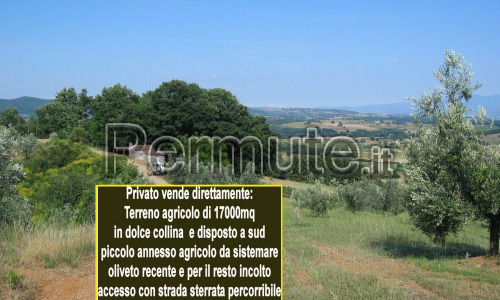 Terreno collinare in Toscana con annesso