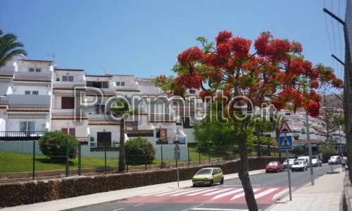 Appartamento a Tenerife ( Playa de las America ) Scambio periodo estivo con appartamento o casetta i