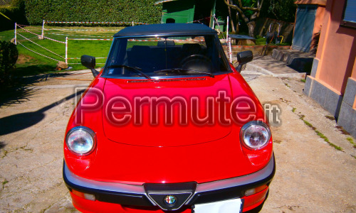 Alfa Romeo Spider Duetto (Targa Oro)