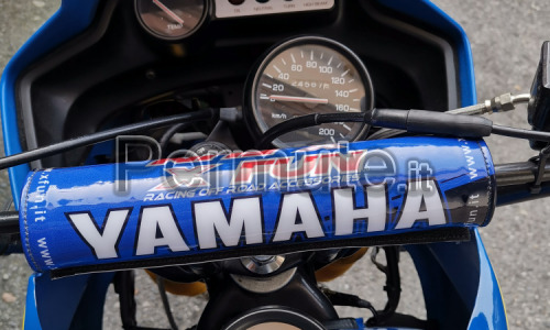 Splendida Yamaha TDR 250 2T