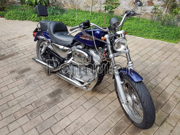 Harley davidson sportster 883 Torino Usato in Permuta, Custom e Chopper -  Permute.it