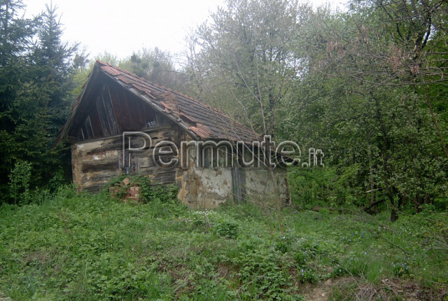 Terreno Con Casetta In Legno Trieste