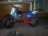 minimotard