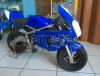 Minimoto polini gp3 reverse 14 cv