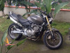 Honda hornet 2006 con soli 19 mila km