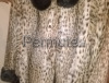 pellicce vere di ghepardo