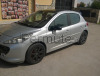 scambio Peugeot 207