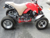 quad 300 nuovo