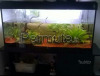 Acquario tenerif 220 LT.