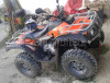 permuto quad