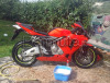 cbr 600rr , 2004