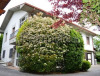 Casa indipendente Castrocaro Terme e Terra del Sole