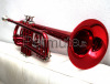 Tromba rossa Wisemann TR300R + bocchino + custodia
