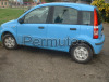 Permuto Panda