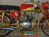 Benelli 125 4t extra sport 1960