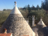 Trulli vicinanze Alberobello - Monopoli - Castellana Grotte con 1 ettaro di terreno con 80 ulibi