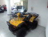 quad motore honda