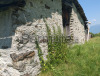 rustico val d'arigna con terreno euro 50.000