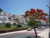 Appartamento a Tenerife ( Playa de las America ) Scambio periodo estivo con appartamento o casetta i