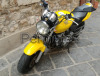 Hornet 600 del 2004