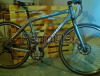 Bianchi Spillo Onice, Ibrida 28