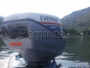 MOTORE EVINRUDE 12 CAVALLI