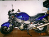 Honda X11 (Eleven) 1.100 cc scambio con enduro