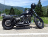 harley davidson street bob