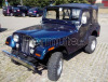 Jeep cj5 Renegade