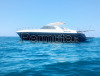 Italcraft C 51