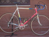 Colnago Cronosport 1981