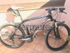 MTB Olympia stark Carbonio