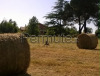 Villa immersa nella natura