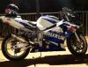 Scambio Suzuki gsx r 600