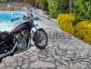 HONDA SHADOW VT 600