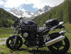 Yamaha BT1100 Bulldog scambio