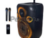 Cassa Amplificata 1200 Watt di picco NUOVA