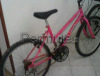 bicicletta donna