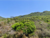 Bosa - Permuta terreno agricolo mq. 120.000