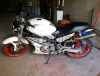 Ducati Monster 600 carburatori 2001