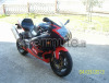 aprilia rsv 1000 anno 2001