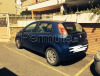 Permuto fiat grande punto