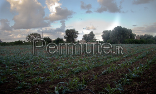 Terreno edificabile vista mare