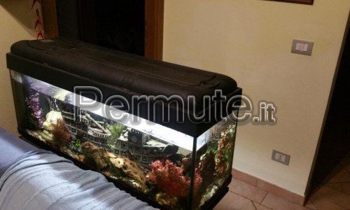 Acquario 100 litri già accessoriato