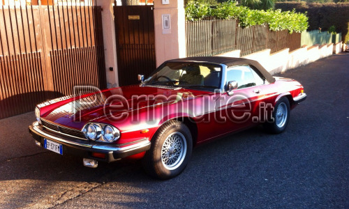 Jaguar xjs cabrio del 90 guida a destra colore bordeaux 