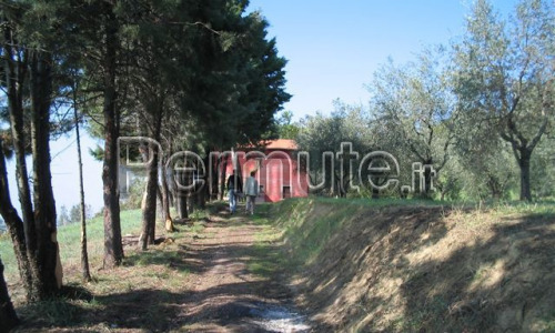 Toscana Loc. Peccioli podere