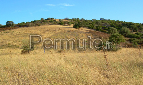 terreno agricolo nel comune di Olbia