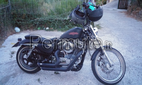 vendo o scambio harley seventy two anno 2012 km 11300 super accessoriata da gommare a 8500 euro