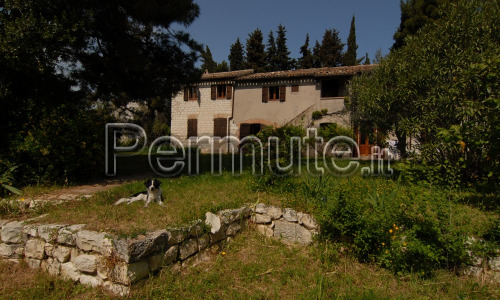 scambio casa vacanze con lavori di giardinaggio - taglio erba - pulizia giardino